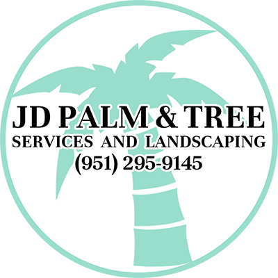 JD Palm & Tree Services and Landscaping - Riverside California