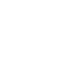 White Palm Tree Icon